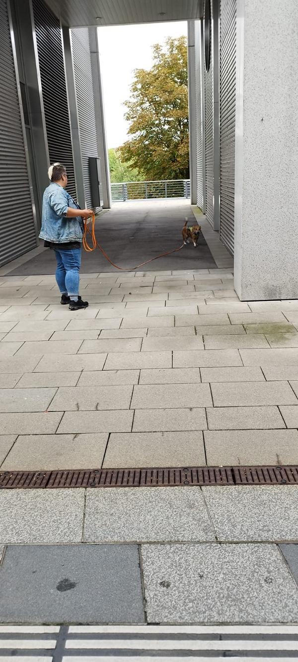 K800_042c7701-1bfa-4282-a16e-5196595b1dc8