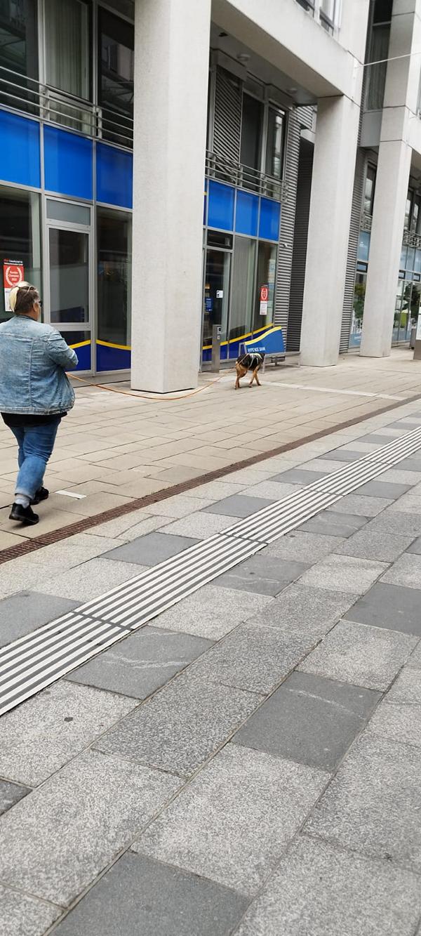 K800_13fc7e87-d6cc-4bd9-87c2-5b5fefe09b11