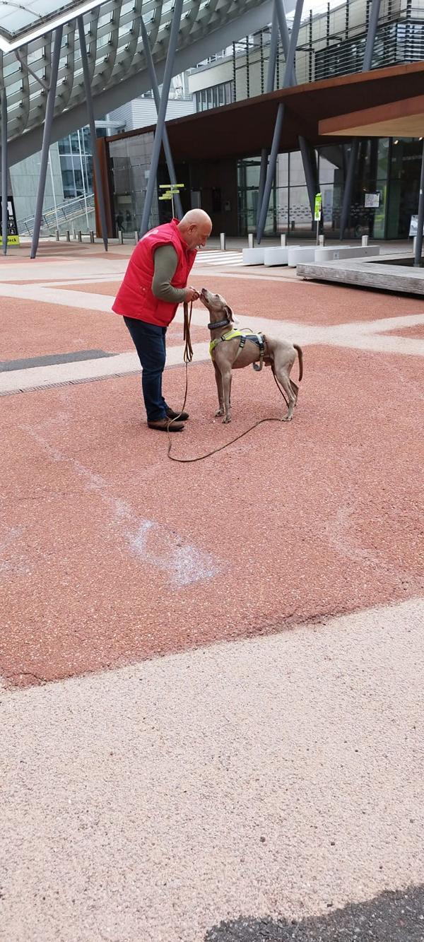 K800_21fcac38-fb91-45cb-8b9b-4601e2e76e7a