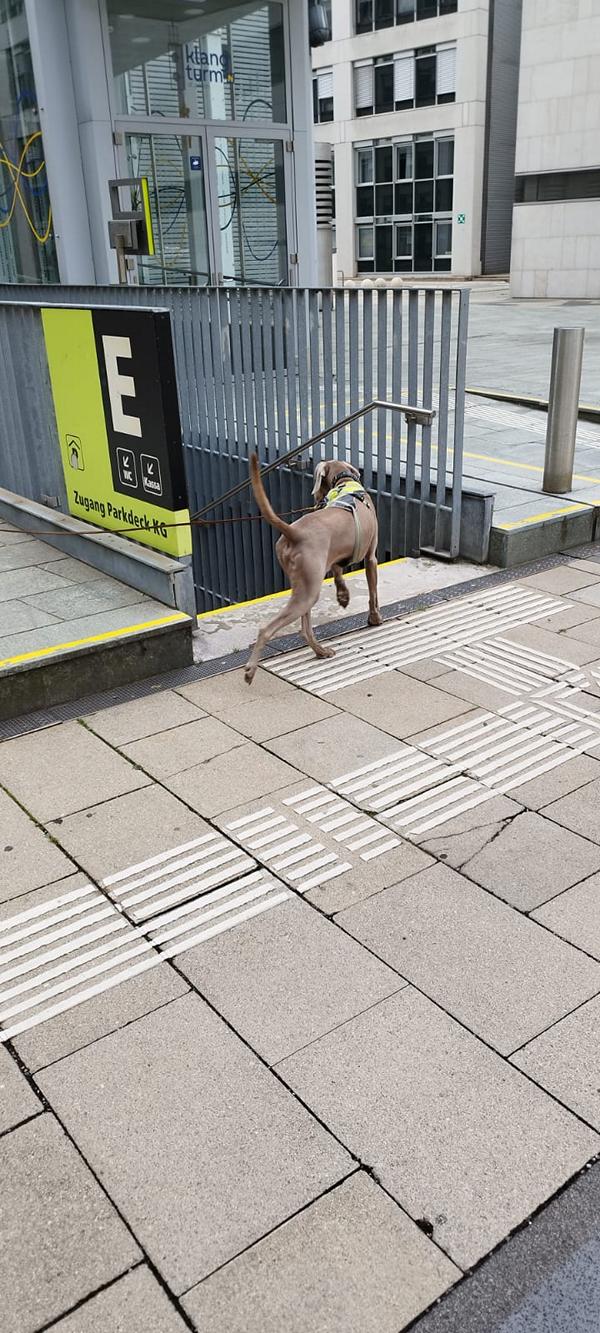 K800_402d86e1-4c11-49f0-b78e-15321ceb8cef