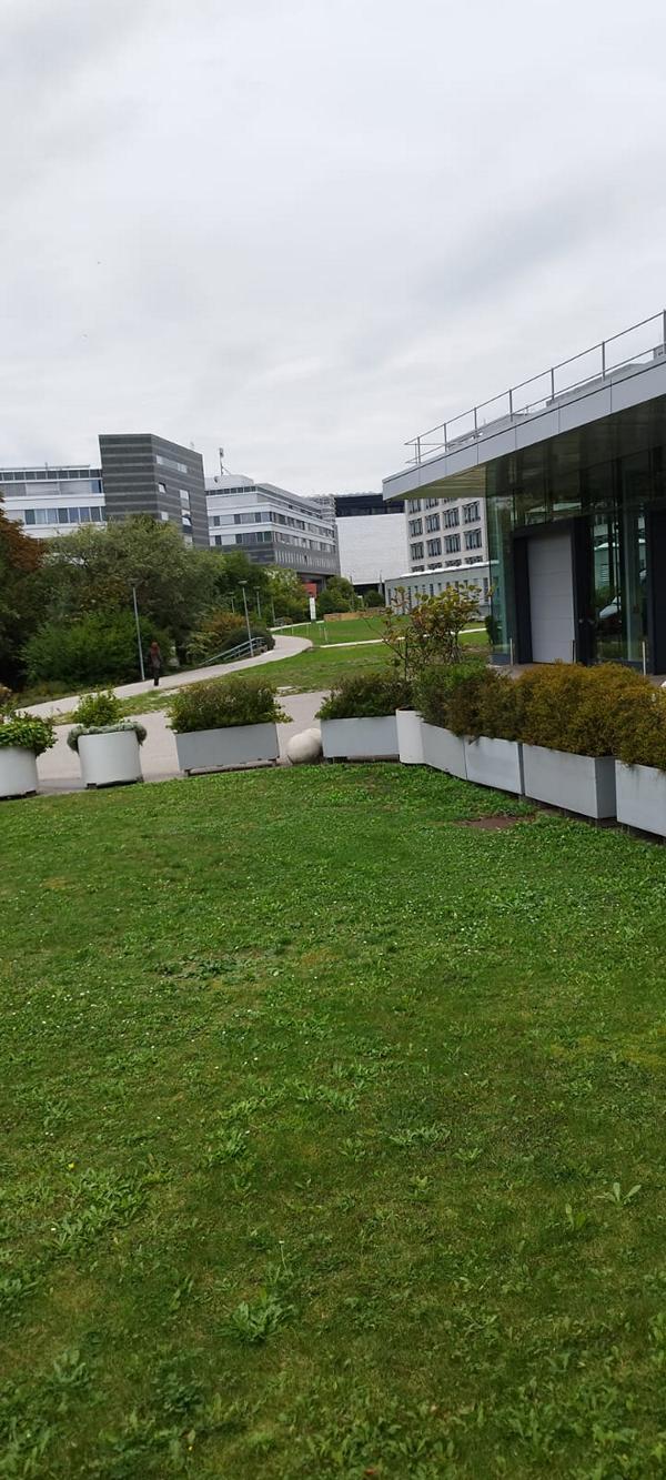 K800_502925f9-fc14-4c18-9991-a9e6f41433a3