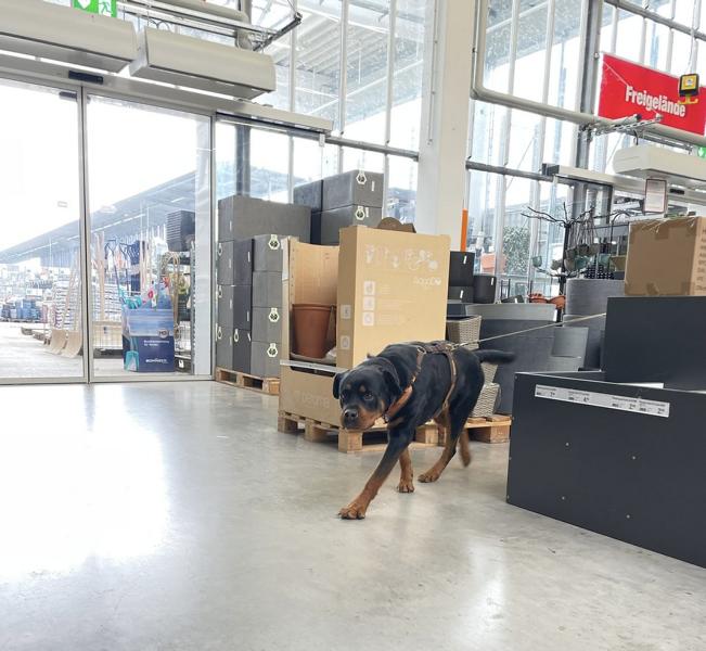 K800_1309b0af-fa4b-4208-bbf8-d8ba371ebcda