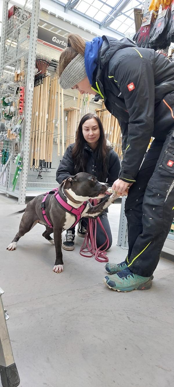 K800_3b4be232-34e4-4eff-9bd5-8d2a62eb9e57