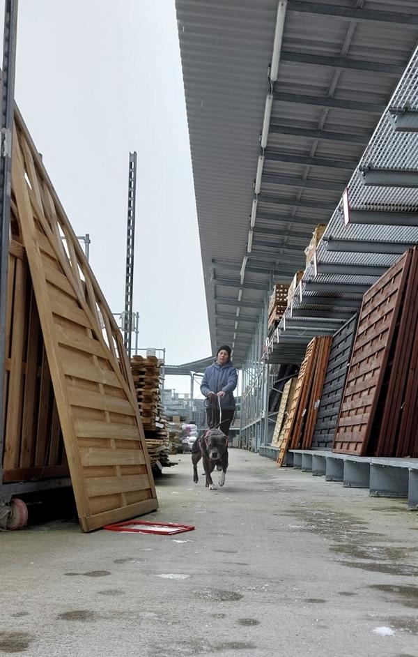 K800_5b99ea1c-3f32-449e-8db0-8b7d545ce994