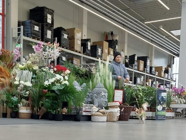 K800_74d3ac37-0980-46b2-a094-d20ac98f20dc