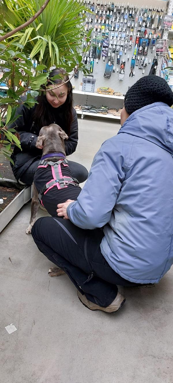 K800_93b21472-9cb9-45ed-b1c2-baf8c9e8aa36