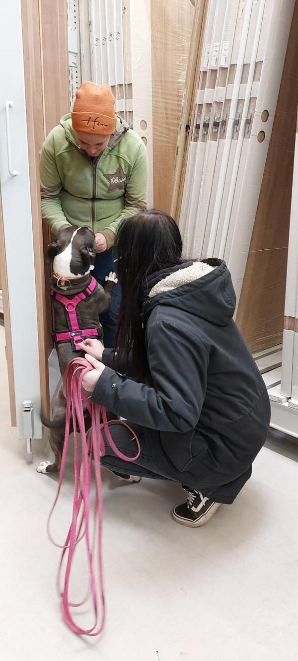 K800_b4834de3-8d08-4872-8e83-823f4e29d1ad