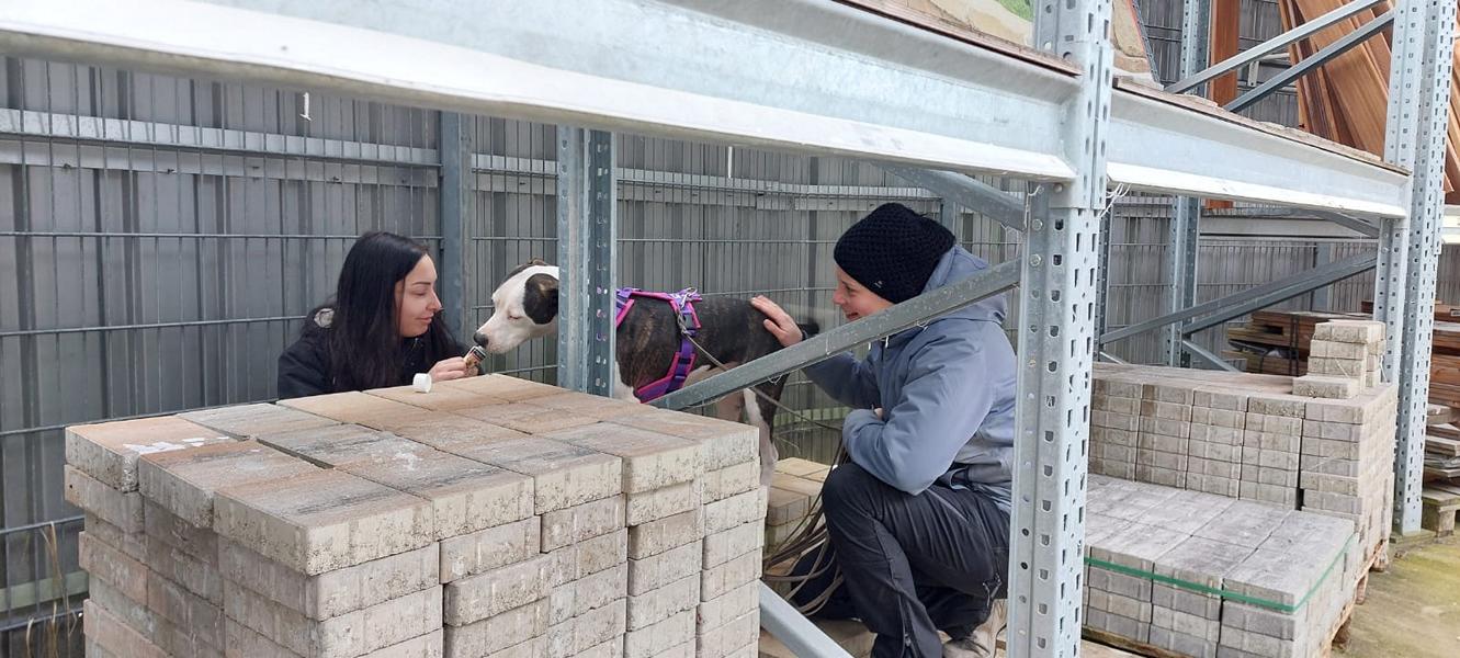 K800_c994ec8a-59e2-4f35-a03d-66ba2833731c