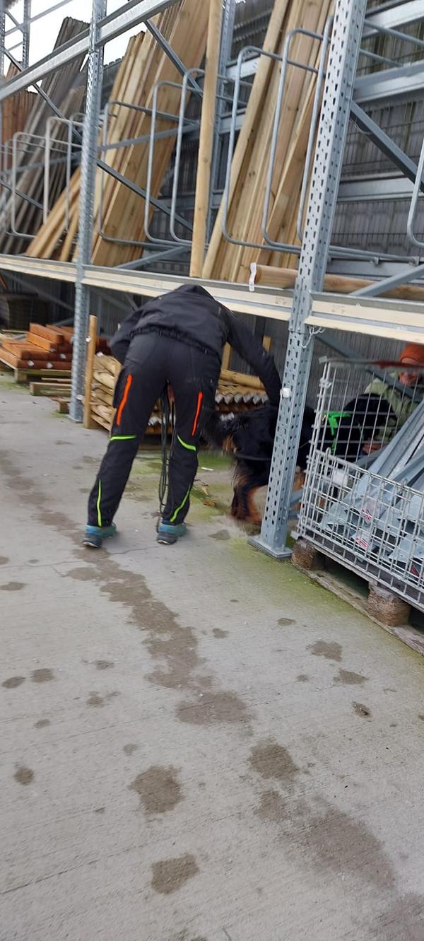 K800_d34e05e5-923b-455f-af2d-c121542f75f9