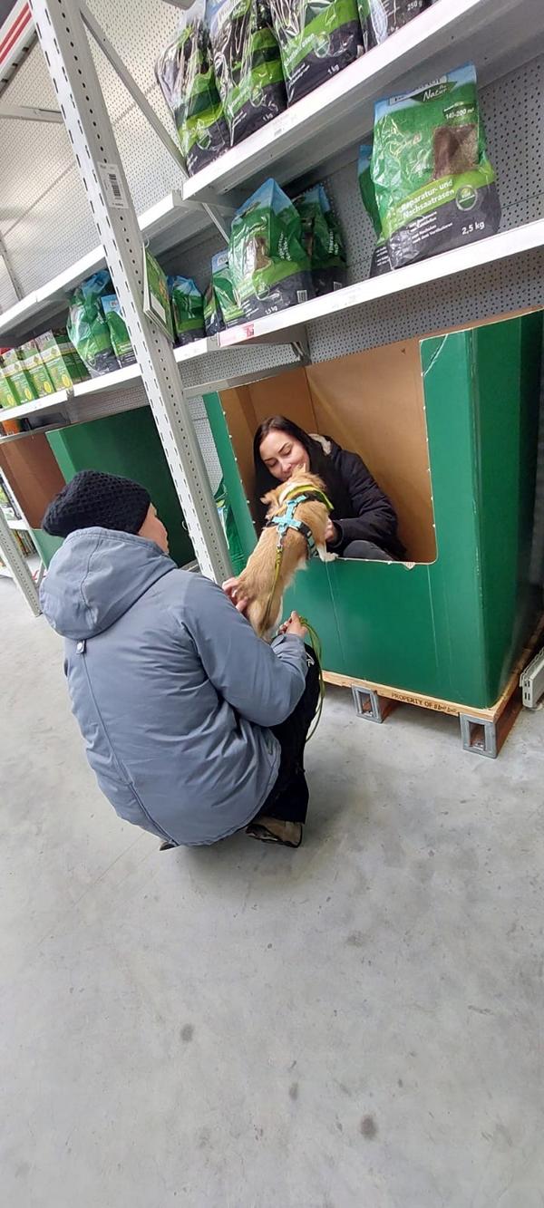 K800_eead96de-3a6e-4174-aee5-73d18faaa5ed