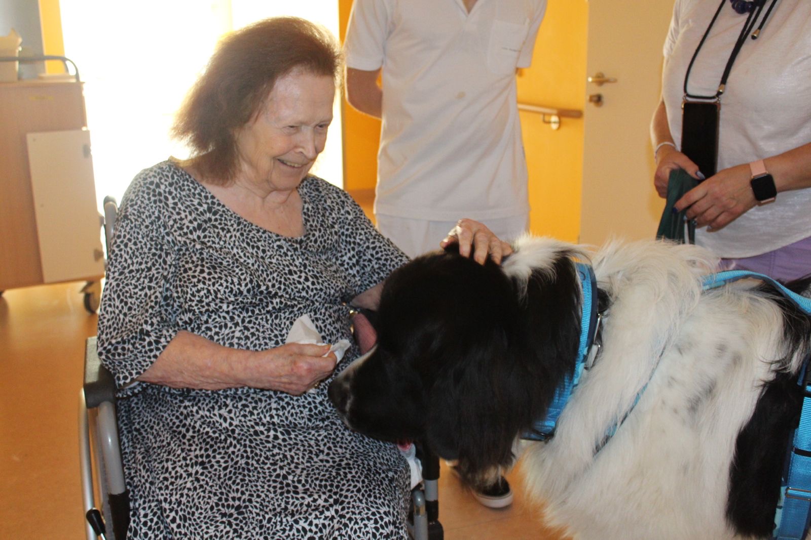 8b52dd5d-3724-4f13-bada-cd85e0fa213a