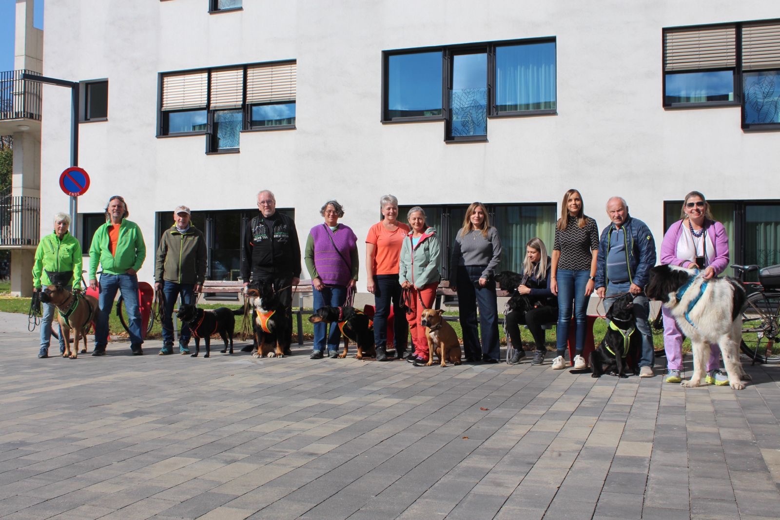 e2e487f6-7e66-4f1f-9627-c3a8b1ff8b74