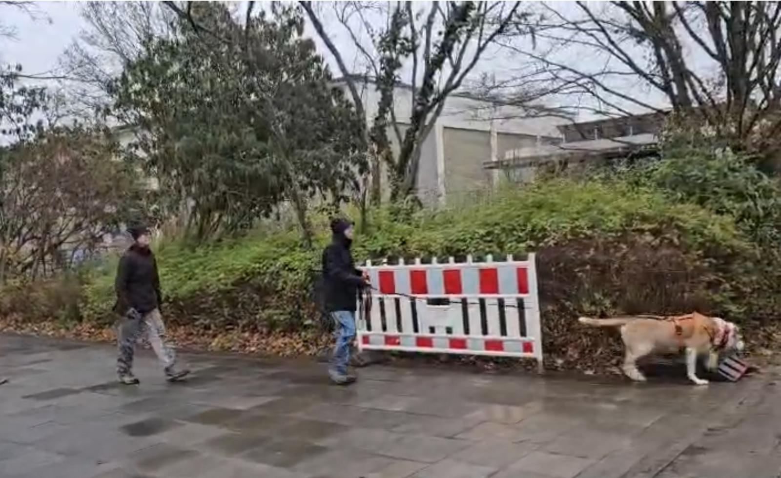 b45be446-af00-4baa-8761-a9e66f474808