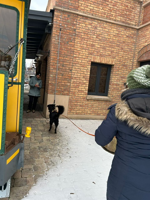 0744E21C-6446-42F1-8356-30BEB4B9BAE4