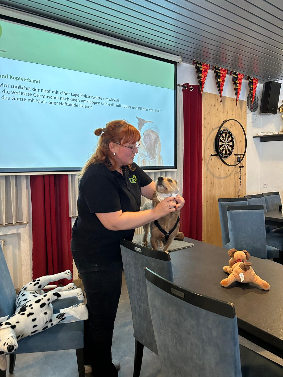 1860831c-1752-45ae-91be-2fe763fc9e43