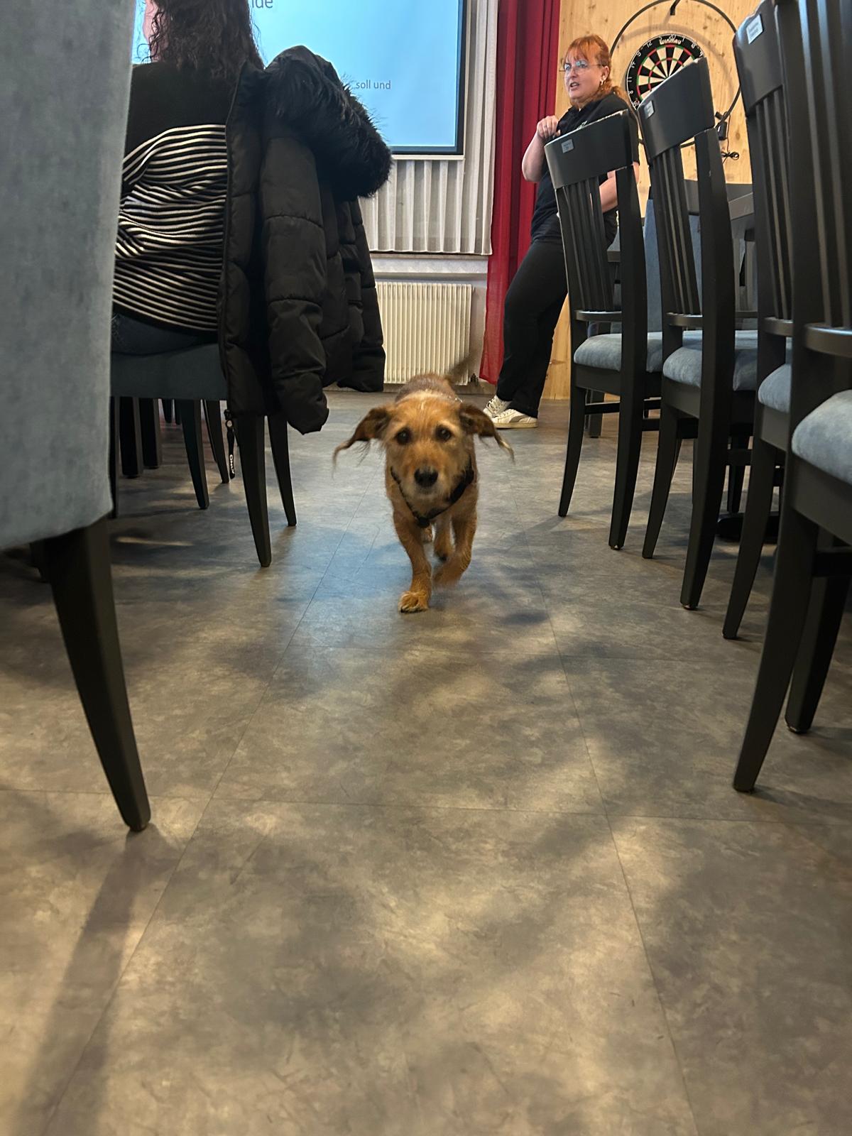 32c3d5bd-0503-4d24-850d-80e91ed13ebf