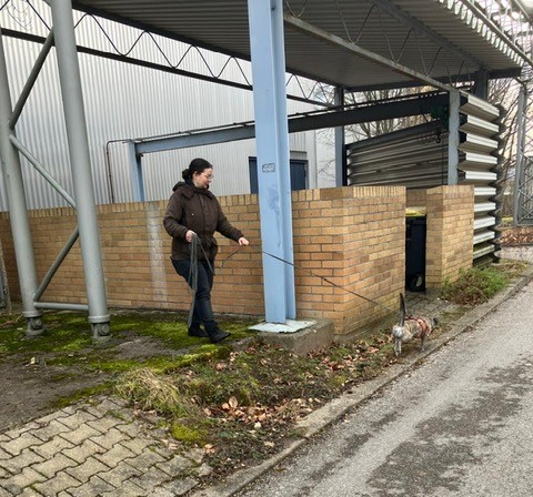 32d07b19-5617-4afb-a411-adad2110a27b