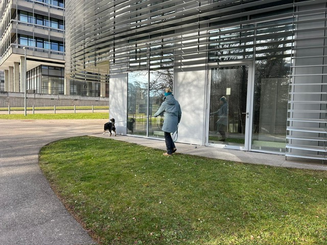 512ca559-3a6c-49c8-a995-8755064179f4