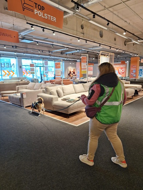 5f7d1095-b19e-4403-9c46-d6ea4203337a