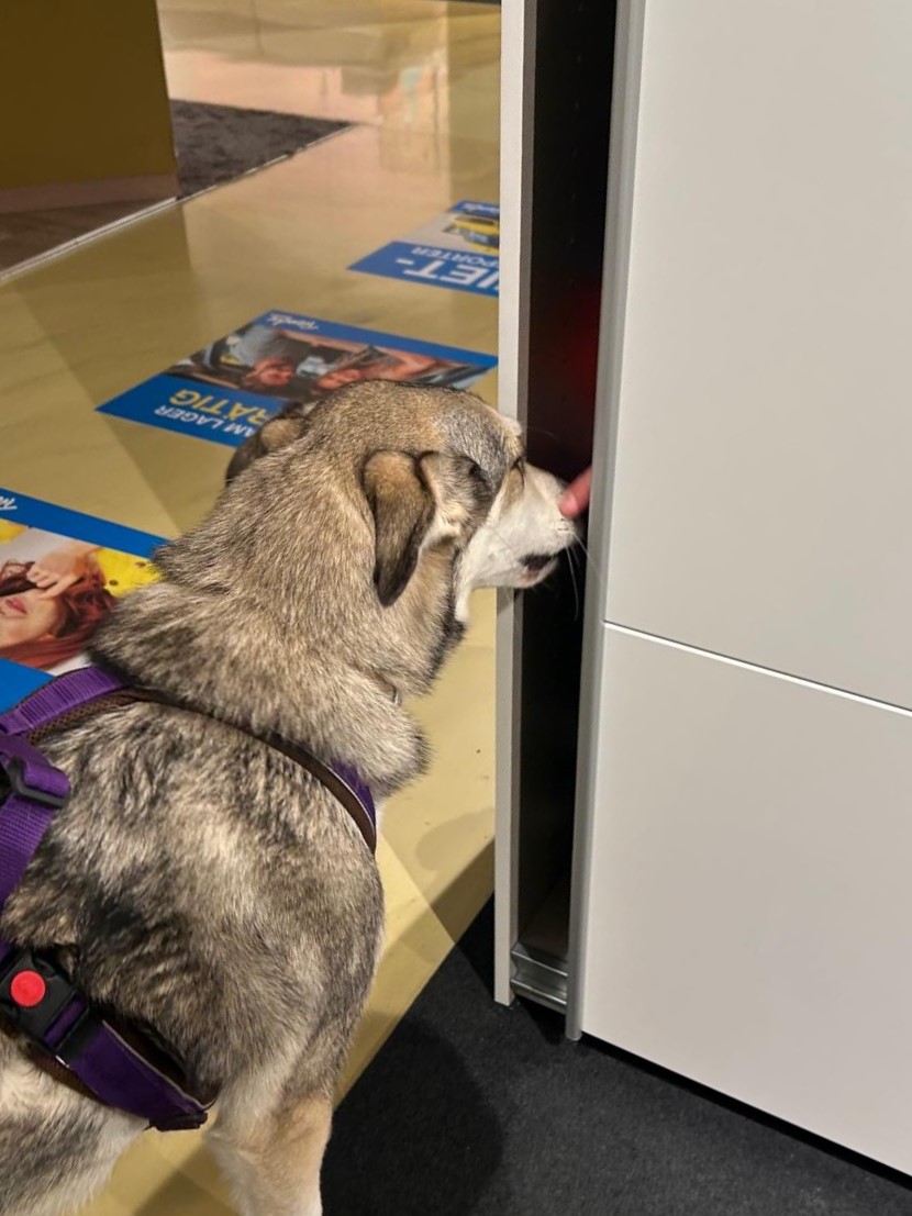 72122067-a971-40b1-ade9-ffed0e42407f