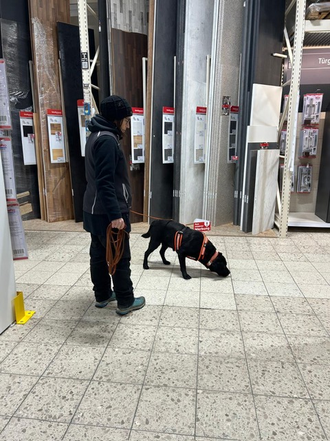 87f38063-204f-4559-ae47-d7b638c0c727