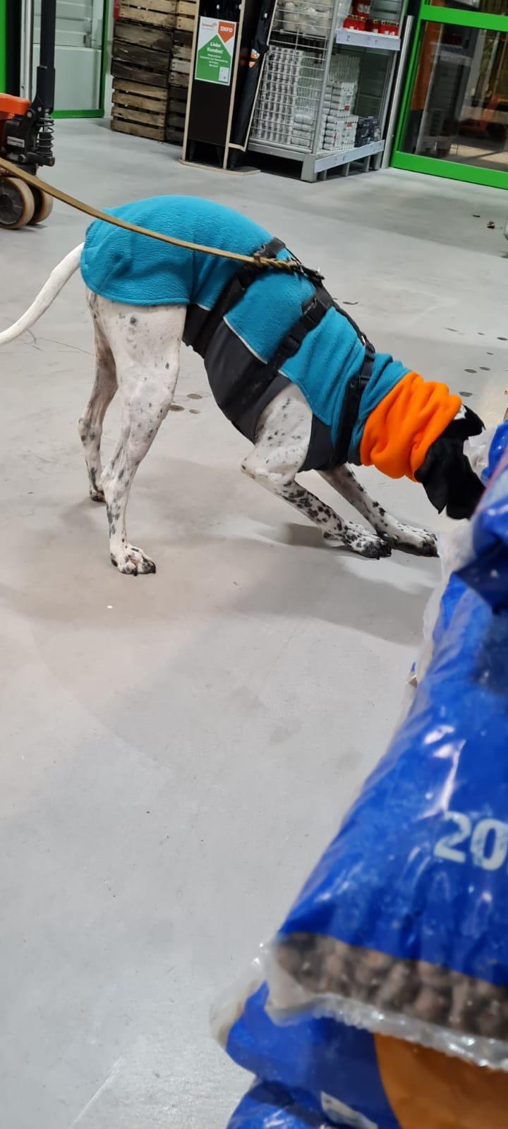 8fa19f27-107c-49ca-9d06-5cdc68284afa