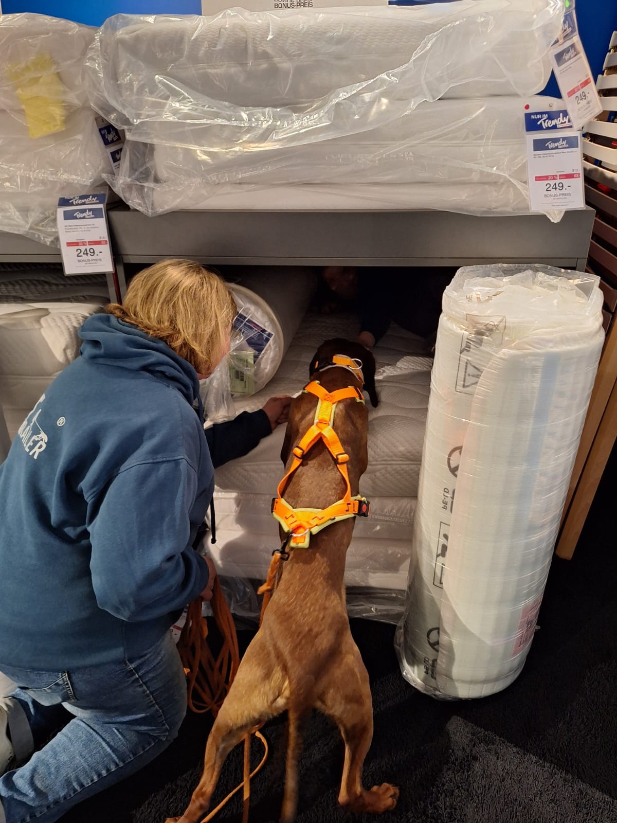 963eeeb1-5098-439d-a143-03c086763ab5