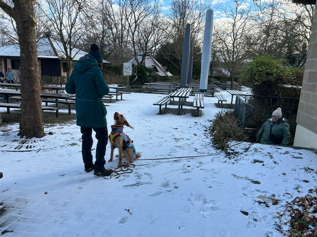 CA145B9A-4367-46DB-9884-AD90BE7E71BF