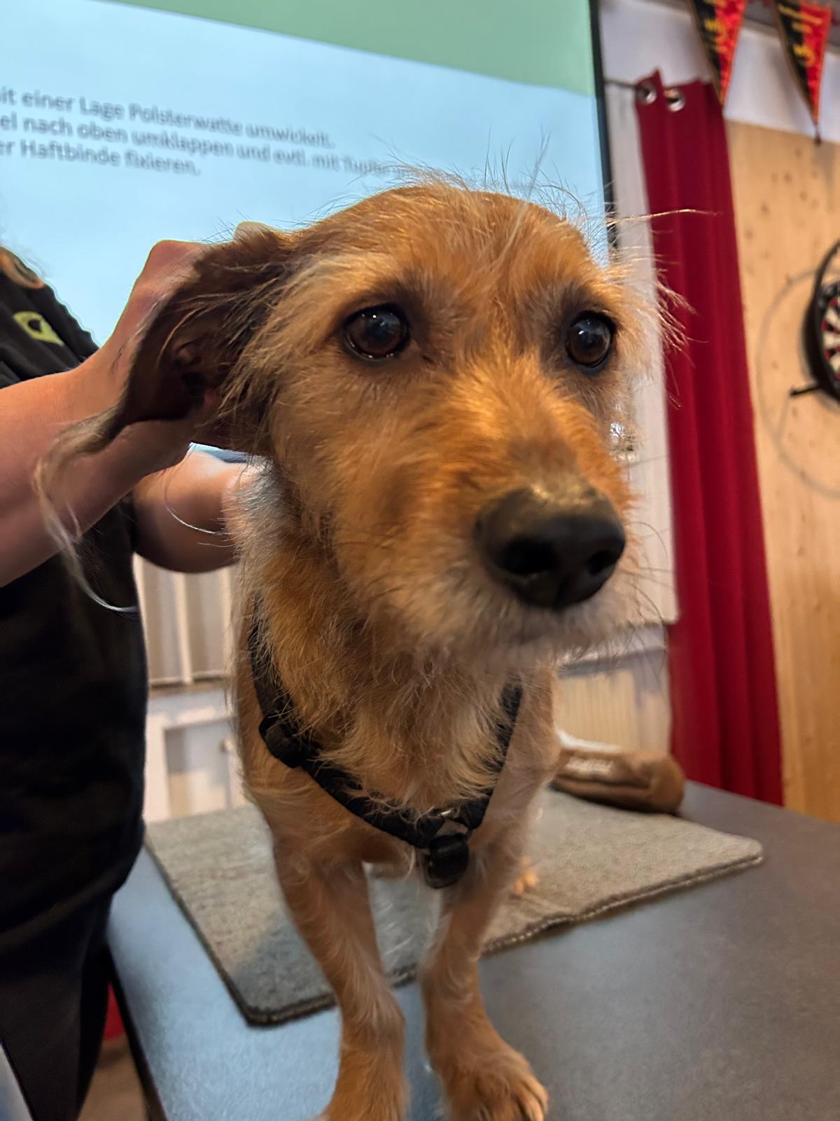 a13c0667-3bdc-4ee6-9873-55d6d2e80603