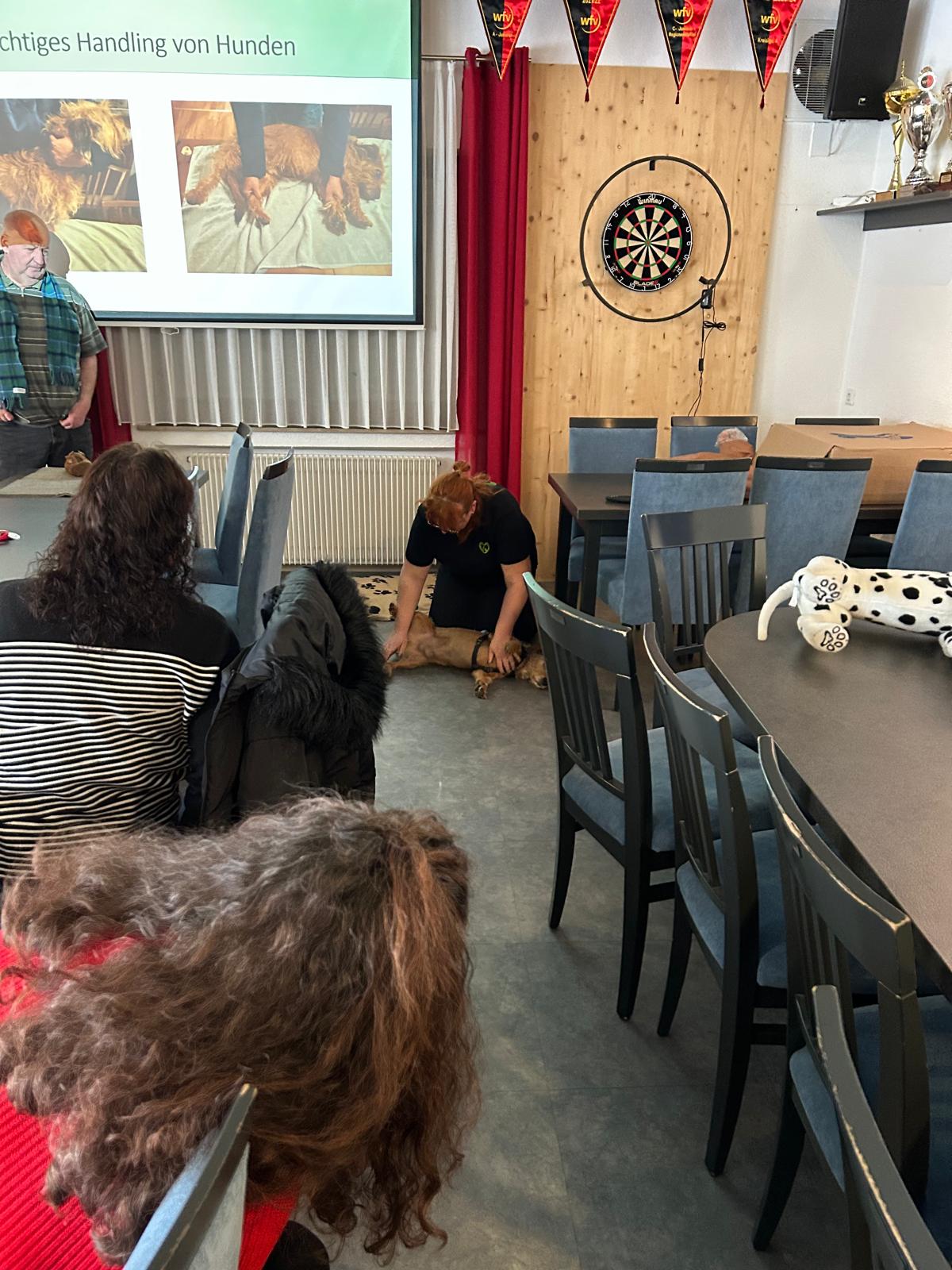 a30d4a58-c18b-4579-84db-5b202ac401f0