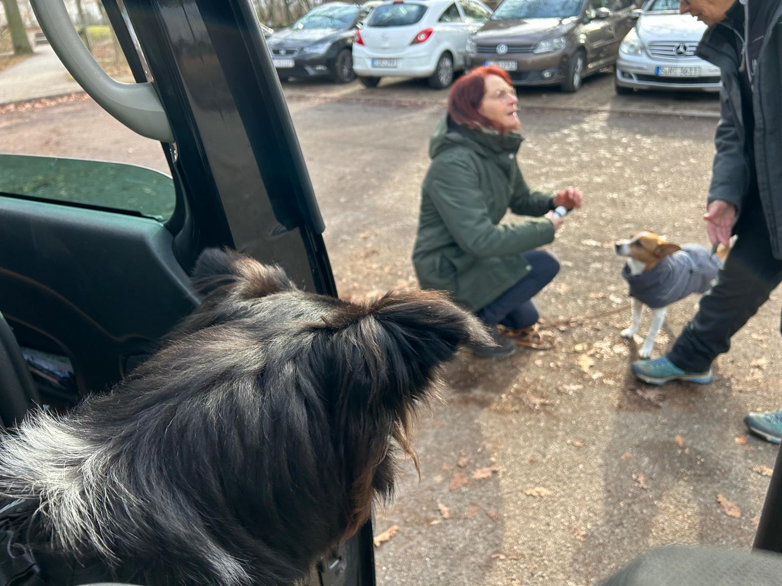 a5f3e71a-3e2a-4c39-b27c-8d558ccc89f6