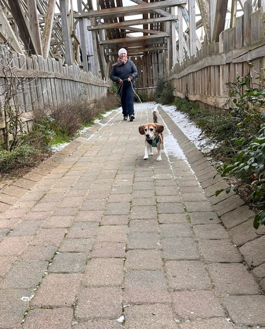 a72e056f-f0c3-4568-b817-22c48b2cc616