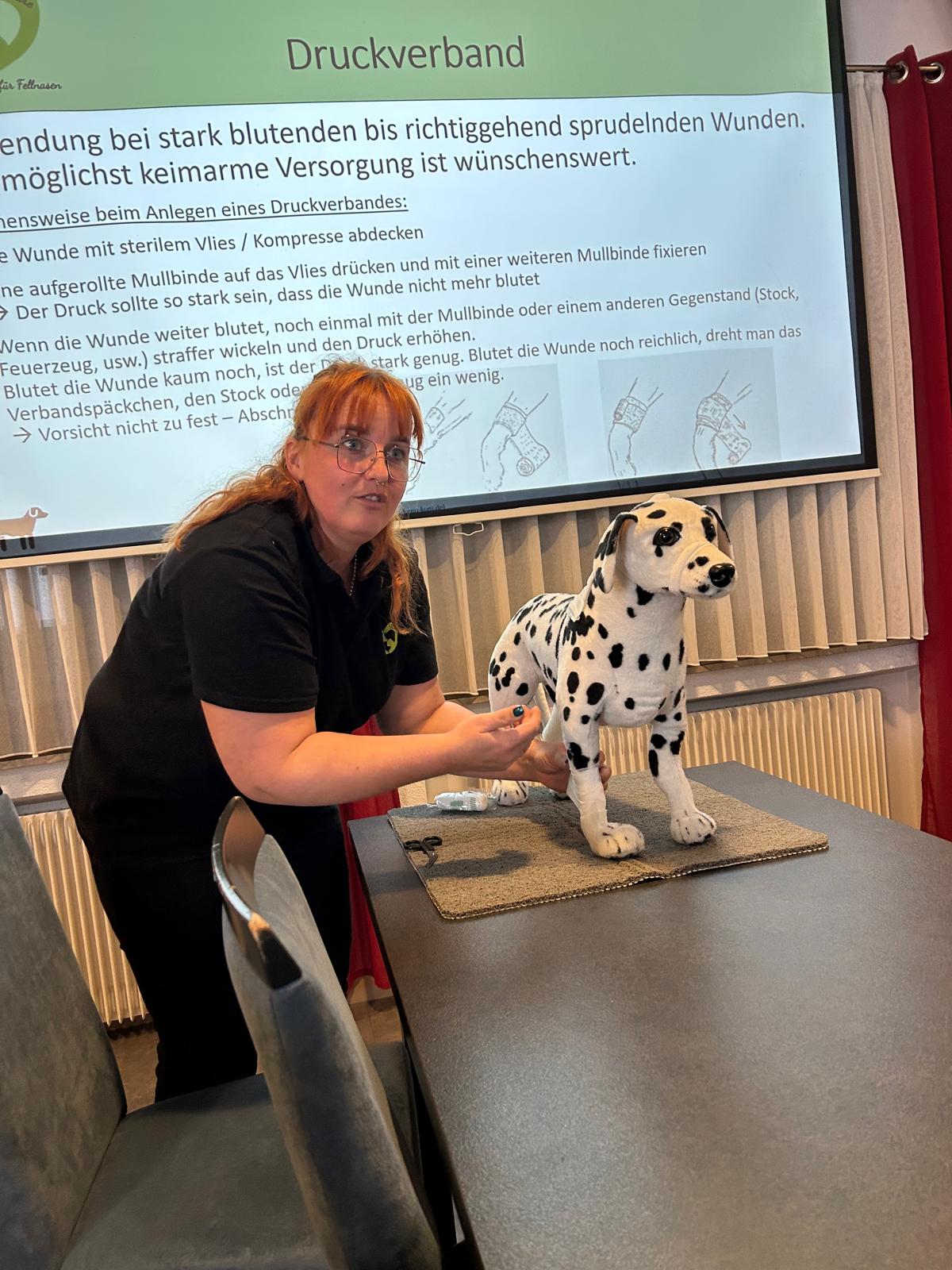 ad40faef-f52f-4ab0-a4b6-e009c3f0a8fa