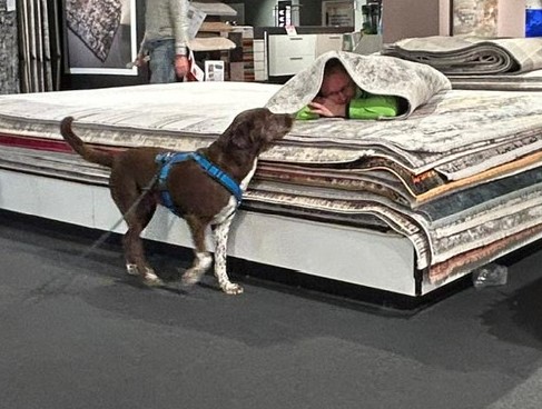 bbfc2bba-24bc-4112-8d6e-a622d3ec93b6