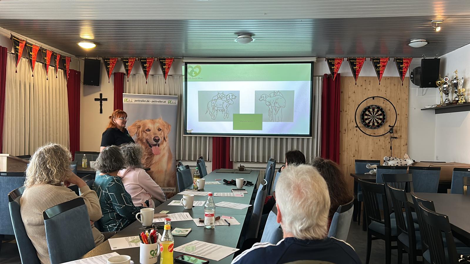 d219af41-aacc-4d78-b7be-2d8a0fcf5d18