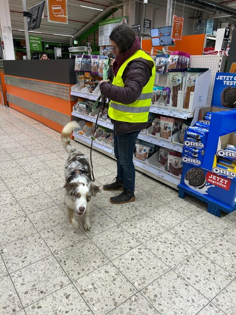 ef42ae84-145f-4974-9103-6d7580eb923b