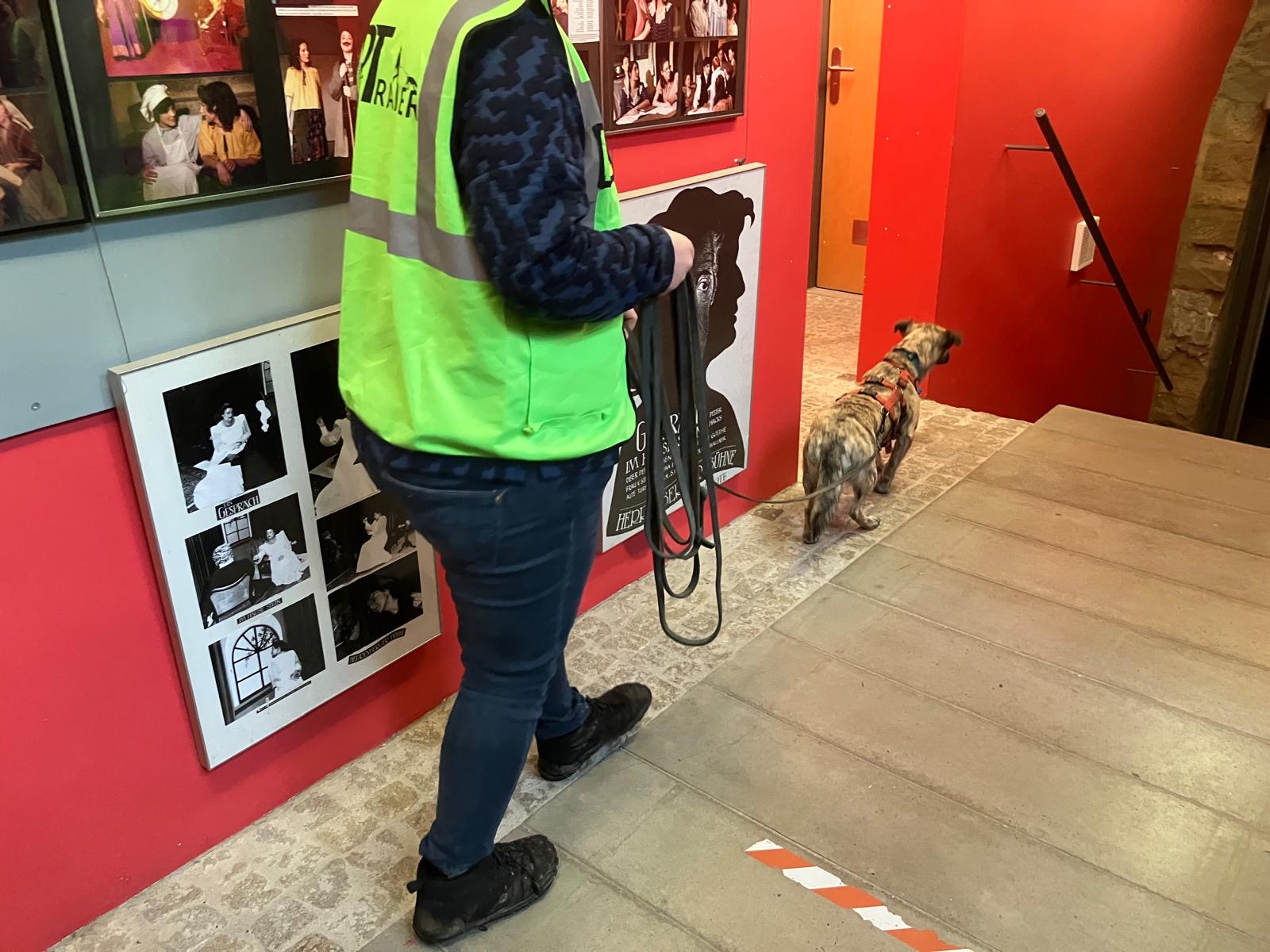 ca63a52d-143e-4695-980b-e9b6b16b18ab