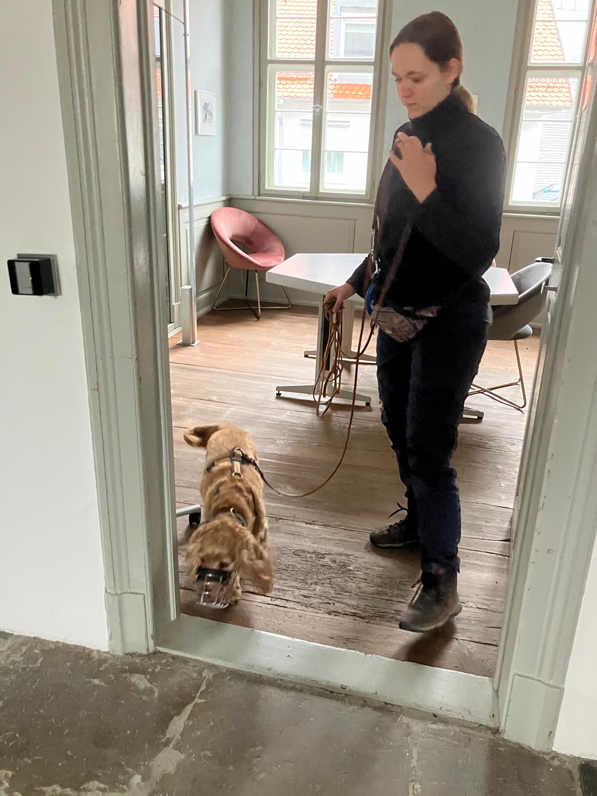 dfaf929c-ba70-495c-8f29-c147c70cc092