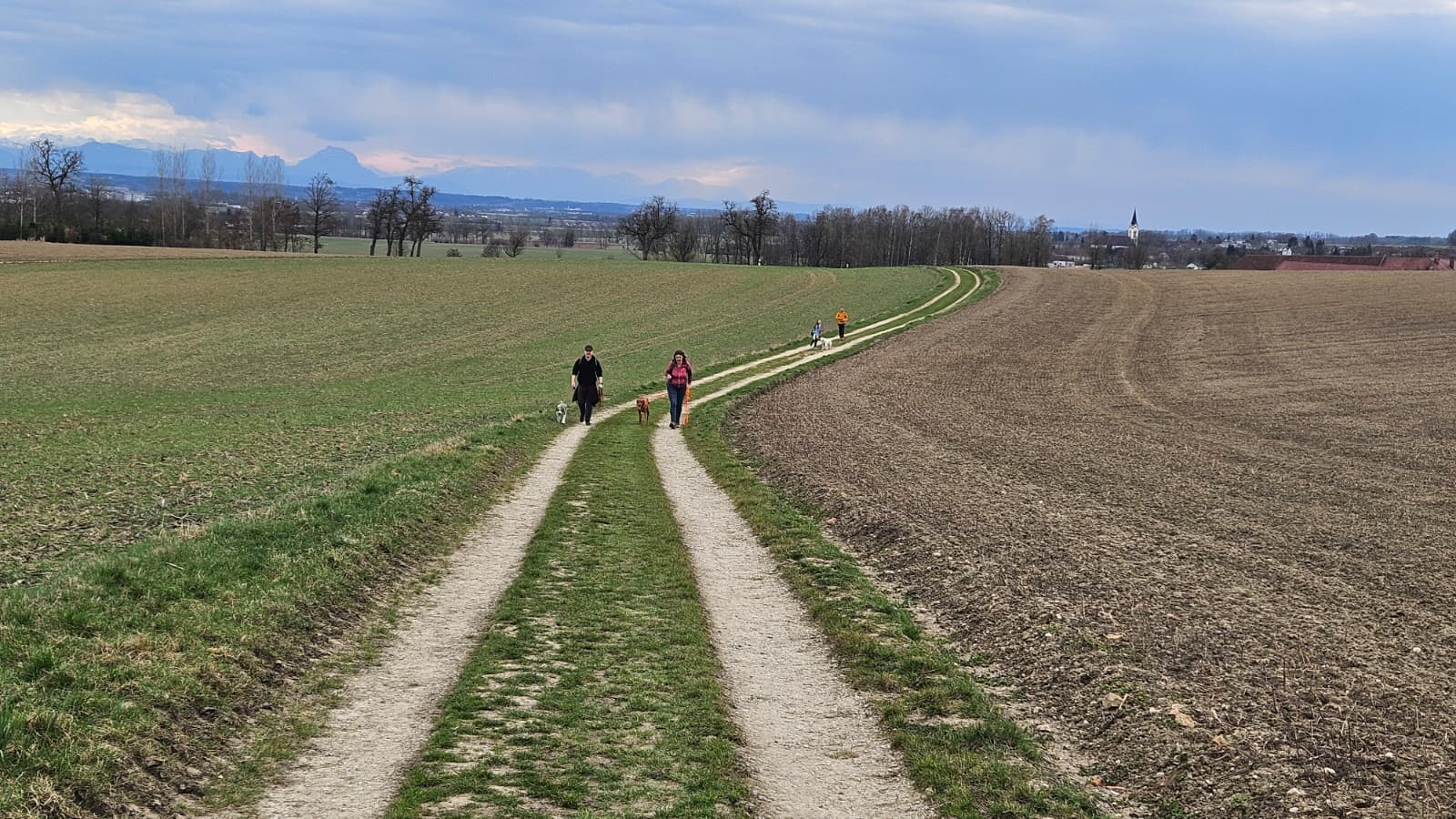 446f8296-b00b-4fc9-9d2d-218ce110dc87