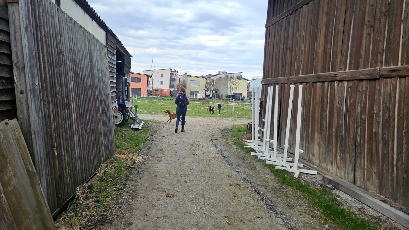 983d84d3-d372-4e72-a8e1-884ba875c515