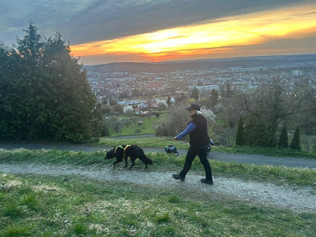 b18f1b67-c6cd-46b6-a8fd-47e4d288371b