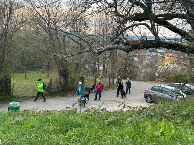 faeb431d-f046-4fb9-b332-1233aa48de28