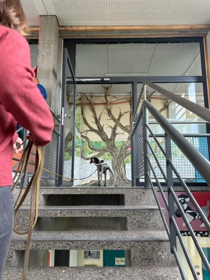 2fd0c6c8-2c82-4849-b19a-2575aee26f29