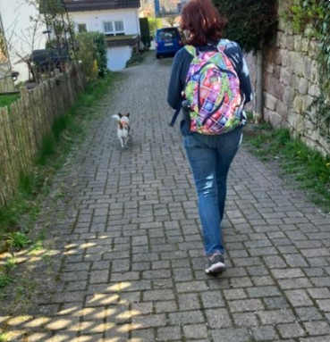 5a0a7350-fc8e-4aee-b547-aa6c2a198149