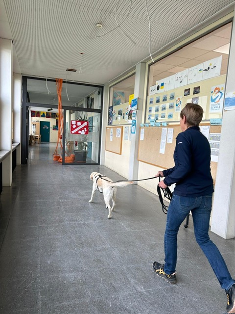 6931cae3-32b3-4cbd-8973-c0dc216c3981