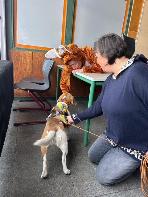 7f84cd71-2cf5-41de-9799-3f87da679270