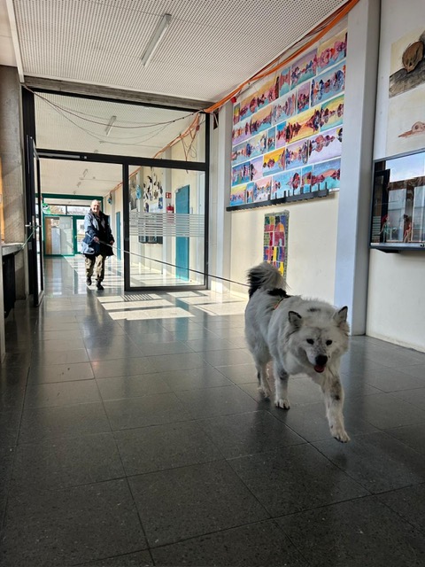 9080bbe2-9afe-45ff-8477-4c729a619556