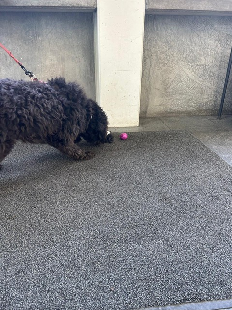 945323f7-a92f-4c4c-8d18-6fc1a7ce2176